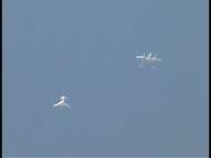 SpaceShipOne and White Knight in formation