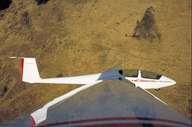 Glider in flight